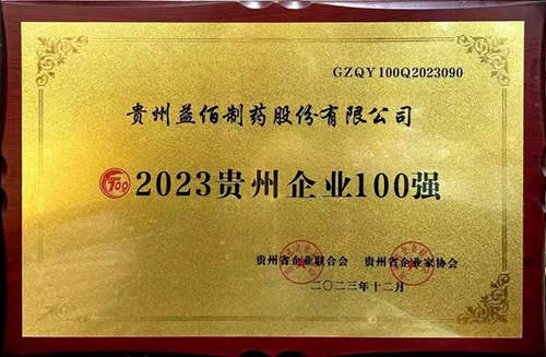 2023贵州企业100张_副本.jpg